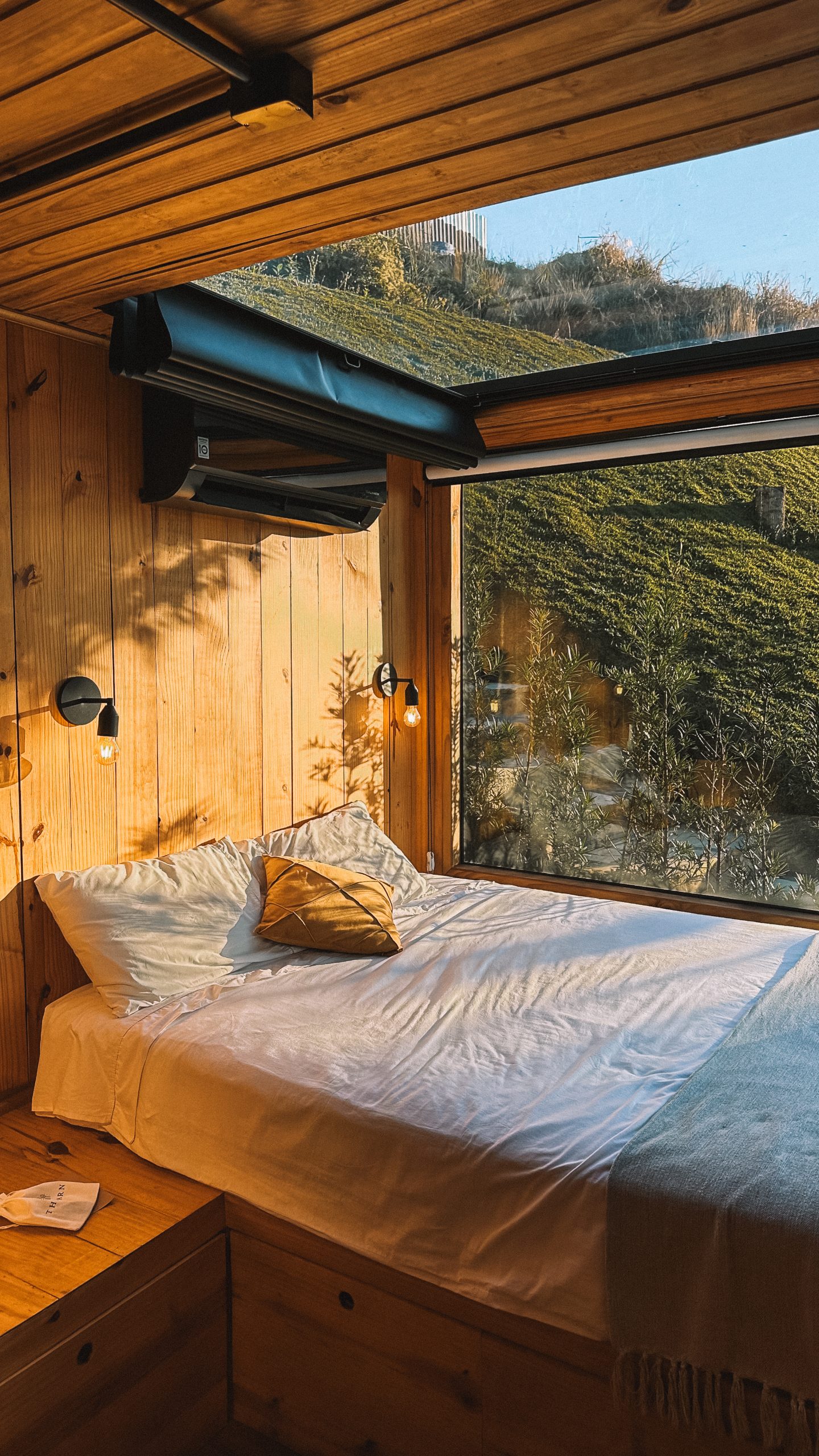 Detalhe Pine 11